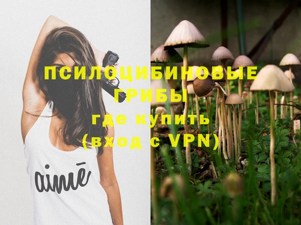 мет Кинешма