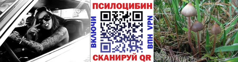Галлюциногенные грибы мицелий  Яблоновский 