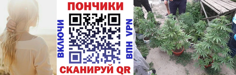 Шишки марихуана OG Kush  Яблоновский 